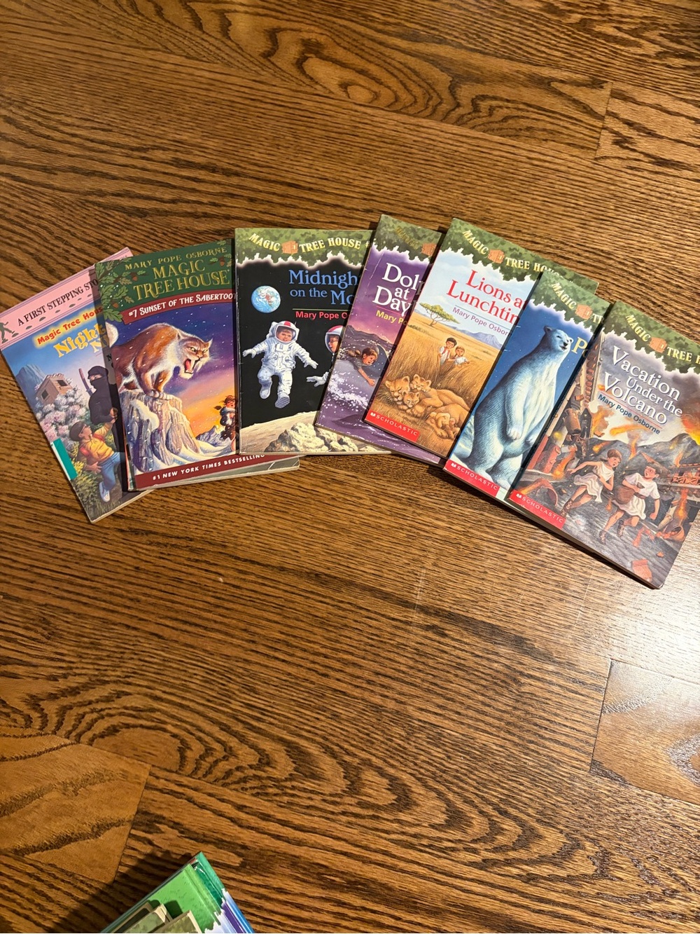 35+ Magic Tree House Book Stack Children's Chapter Books - Picture 5 of 6
